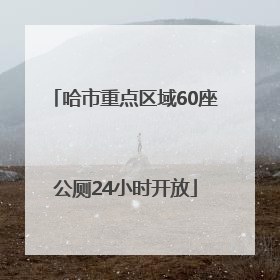 哈市重点区域60座公厕24小时开放