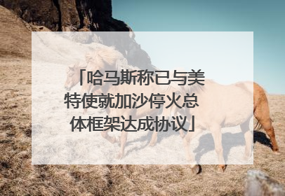 哈马斯称已与美特使就加沙停火总体框架达成协议