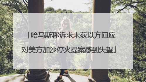 哈马斯称诉求未获以方回应 对美方加沙停火提案感到失望