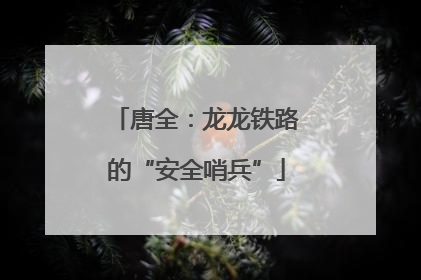 唐全：龙龙铁路的“安全哨兵”
