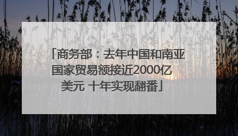 商务部：去年中国和南亚国家贸易额接近2000亿美元 十年实现翻番