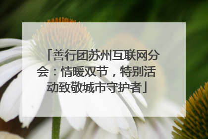 善行团苏州互联网分会：情暖双节，特别活动致敬城市守护者