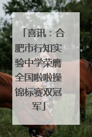 喜讯：合肥市行知实验中学荣膺全国啦啦操锦标赛双冠军