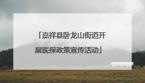 嘉祥县卧龙山街道开展医保政策宣传活动