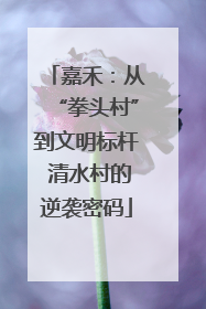 嘉禾：从“拳头村”到文明标杆 清水村的逆袭密码