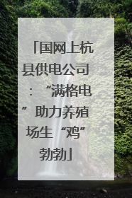 国网上杭县供电公司：“满格电”助力养殖场生“鸡”勃勃