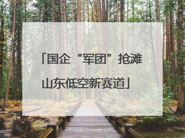 国企“军团”抢滩山东低空新赛道
