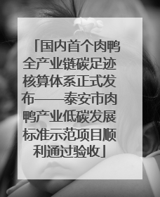 国内首个肉鸭全产业链碳足迹核算体系正式发布——泰安市肉鸭产业低碳发展标准示范项目顺利通过验收