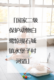 国家二级保护动物白鹭惊现石城镇水堡子村河道