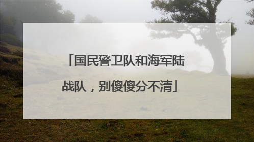 国民警卫队和海军陆战队，别傻傻分不清