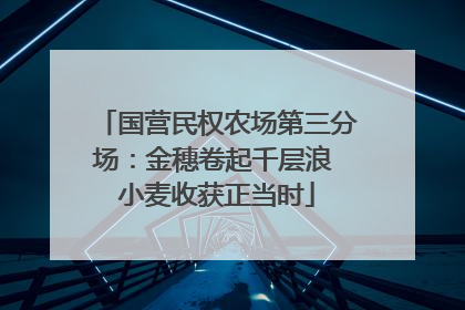 国营民权农场第三分场：金穗卷起千层浪 小麦收获正当时