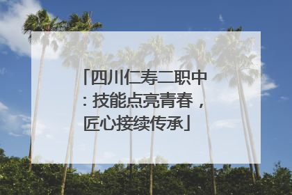 四川仁寿二职中：技能点亮青春，匠心接续传承