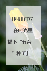 四川宜宾：在时光里播下“五育”种子