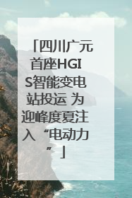 四川广元首座HGIS智能变电站投运 为迎峰度夏注入“电动力”