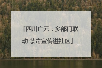 四川广元：多部门联动 禁毒宣传进社区