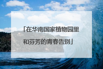 在华南国家植物园里和芬芳的青春告别