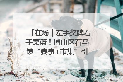 在场｜左手奖牌右手菜篮！博山区石马镇“赛事+市集”引燃周末经济