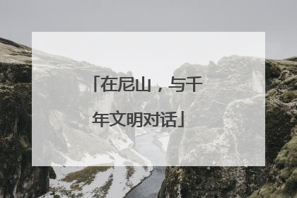 在尼山，与千年文明对话