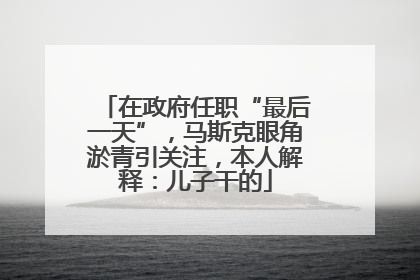 在政府任职“最后一天”，马斯克眼角淤青引关注，本人解释：儿子干的