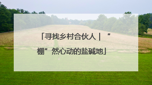寻找乡村合伙人｜“棚”然心动的盐碱地
