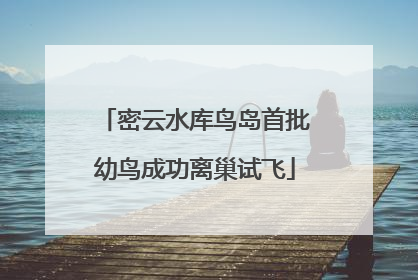 密云水库鸟岛首批幼鸟成功离巢试飞