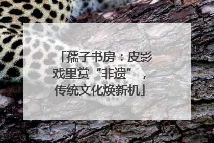 孺子书房：皮影戏里赏“非遗”，传统文化焕新机