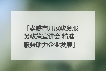 孝感市开展政务服务政策宣讲会 精准服务助力企业发展