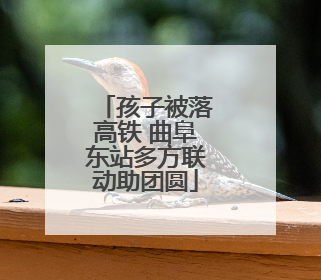 孩子被落高铁 曲阜东站多方联动助团圆