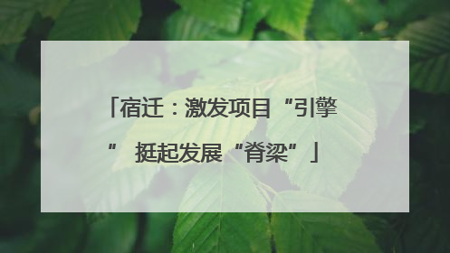宿迁：激发项目“引擎” 挺起发展“脊梁”