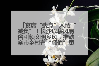 宴席“瘦身”人情“减负”！长沙以移风易俗引领文明乡风，推动全市乡村有“颜值”更显“气质”
