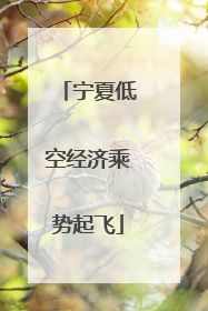 宁夏低空经济乘势起飞