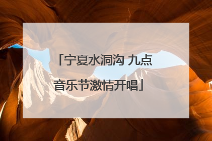 宁夏水洞沟 九点音乐节激情开唱