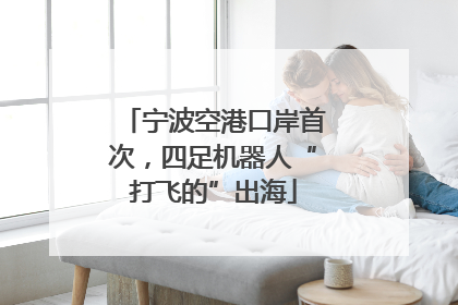 宁波空港口岸首次，四足机器人“打飞的”出海