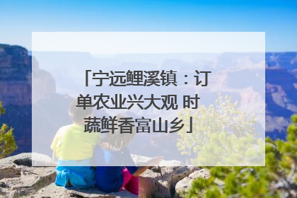 宁远鲤溪镇：订单农业兴大观 时蔬鲜香富山乡
