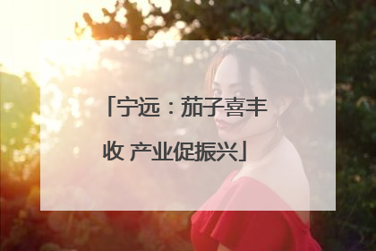 宁远：茄子喜丰收 产业促振兴