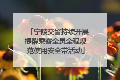 宁陵交警持续开展提醒乘客全员全程规范使用安全带活动