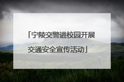 宁陵交警进校园开展交通安全宣传活动