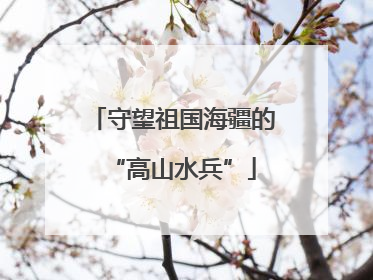 守望祖国海疆的“高山水兵”