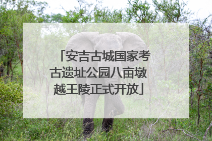 安吉古城国家考古遗址公园八亩墩越王陵正式开放