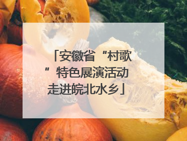 安徽省“村歌”特色展演活动走进皖北水乡