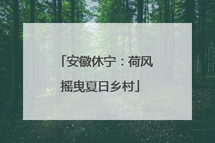 安徽休宁：荷风摇曳夏日乡村