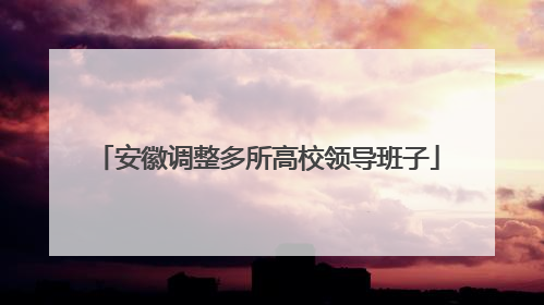 安徽调整多所高校领导班子