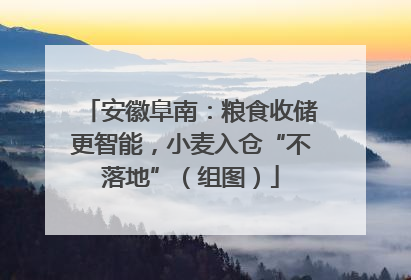 安徽阜南：粮食收储更智能，小麦入仓“不落地”（组图）