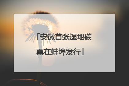 安徽首张湿地碳票在蚌埠发行