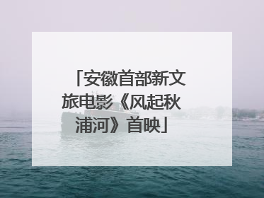 安徽首部新文旅电影《风起秋浦河》首映