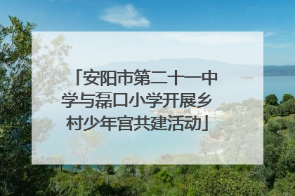 安阳市第二十一中学与磊口小学开展乡村少年宫共建活动