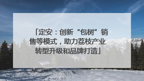 定安：创新“包树”销售等模式，助力荔枝产业转型升级和品牌打造