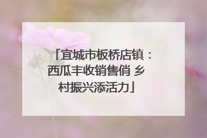 宜城市板桥店镇：西瓜丰收销售俏 乡村振兴添活力