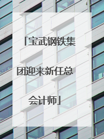 宝武钢铁集团迎来新任总会计师