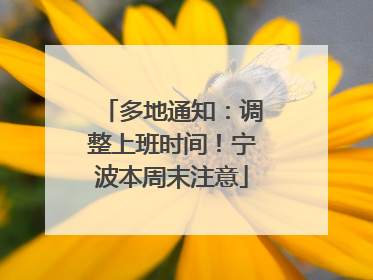 多地通知：调整上班时间！宁波本周末注意